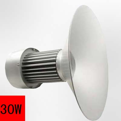 靈創(chuàng)品牌-30W LED工礦燈